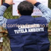 carabierni-noe