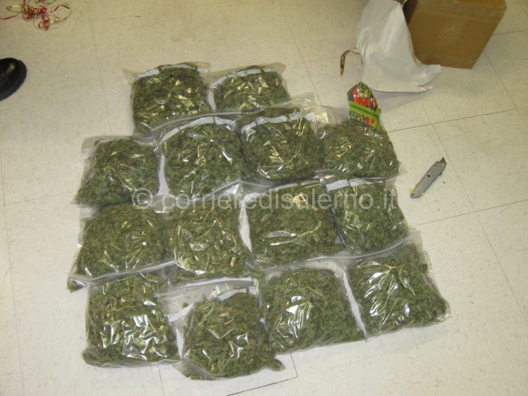 Anziana brucia marijuana senza sapere che si trattava di droga