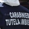Carabinieri_del_NOE