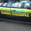 Guardie Ecozoofile 003