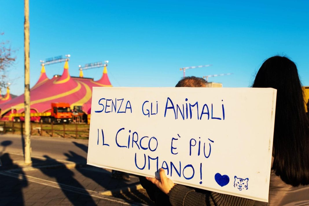 Protesta contro gli animali al circo