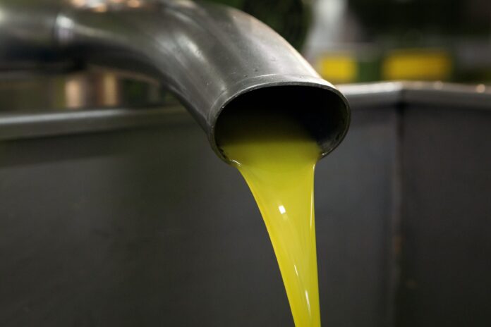 Rassegna olio di oliva a Palomonte